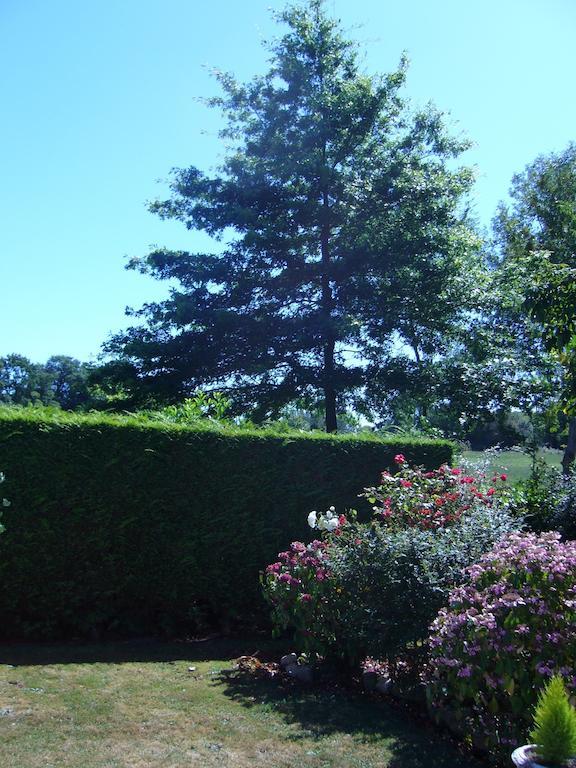 Mandeville-en-Bessin Ferme De Dauval B&B 외부 사진